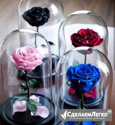 Розы в колбе на 8 Марта Калининград - изображение 1