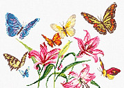 Лилии и бабочки Ярославль