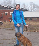 Дрессировка собак Усолье-Сибирское