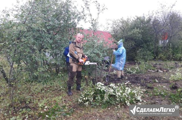 Обрезка и удаление плодовых деревьев Рязань - изображение 1