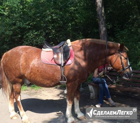 Прогулки верхом на лошади Москва - изображение 1