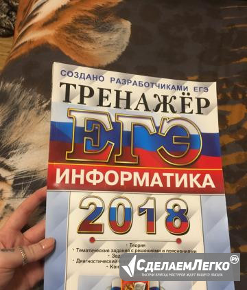 Тренажер по информатике 2018 Иркутск - изображение 1