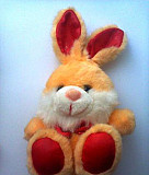 Кролик оранжевый Кострома