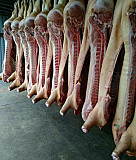 Мясо свинина в полутушах Мценск