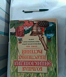 Книга с ч/б иллюстрациями Тольятти
