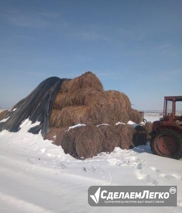 Сено луговое в рулонах Бондари - изображение 1