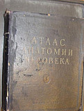 Атлас анатомии человека В.Синельников Москва