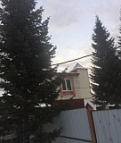Пихты живые Барнаул