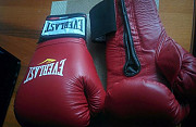 Боксерские перчатки Everlast Москва