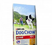 Кормdog chow для взрослых активных собак.А132 Новороссийск